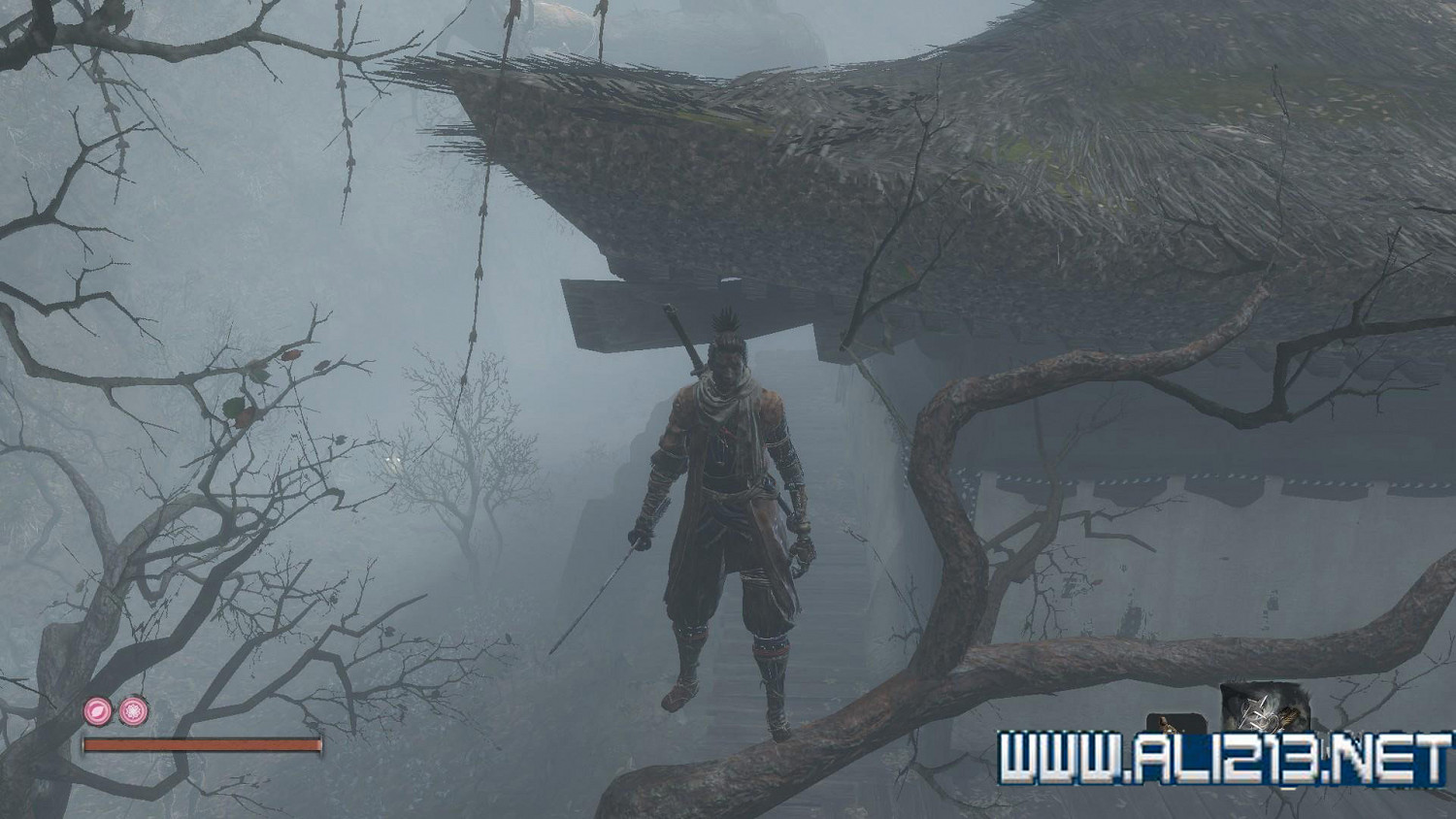 《隻狼暗影雙死》霧隱貴人路線介紹 霧隱貴人邪道玩法攻略 《隻狼暗影雙死》霧隱貴人路線介紹 霧隱貴人邪道玩法攻略