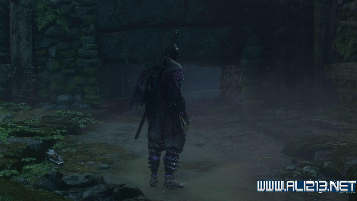 《隻狼暗影雙死》全精英怪打法分享 全精英怪逃課技巧分享 《隻狼暗影雙死》全精英怪打法分享 全精英怪逃課技巧分享