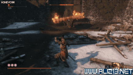 《隻狼暗影雙死》火牛招式技能分析 火牛逃課打法分享 《隻狼暗影雙死》火牛招式技能分析 火牛逃課打法分享