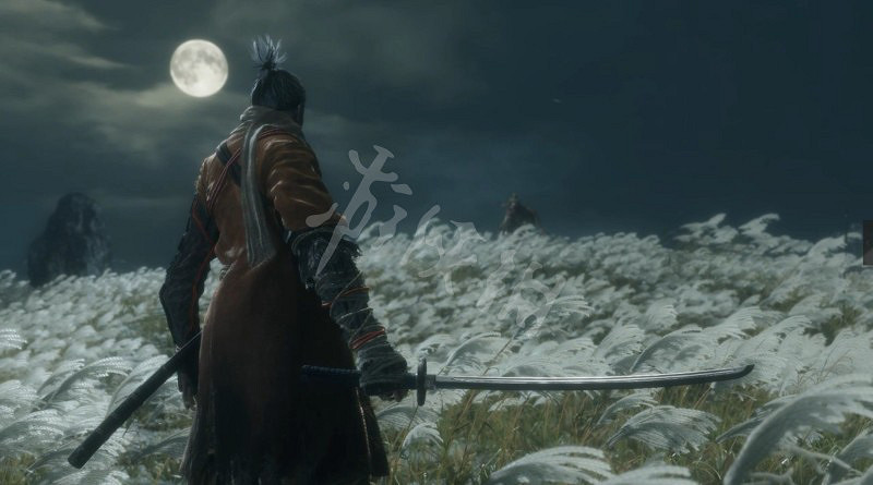 《隻狼暗影雙死》的故事劇情是什麽 部分劇情點整理