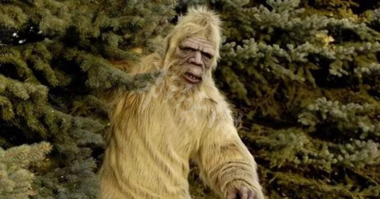 《隻狼暗影雙死》猴子有哪些 遊戲中猿猴歷史原型探究 《隻狼暗影雙死》猴子有哪些 遊戲中猿猴歷史原型探究