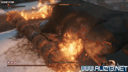 《隻狼暗影雙死》火牛招式技能分析 火牛逃課打法分享 《隻狼暗影雙死》火牛招式技能分析 火牛逃課打法分享