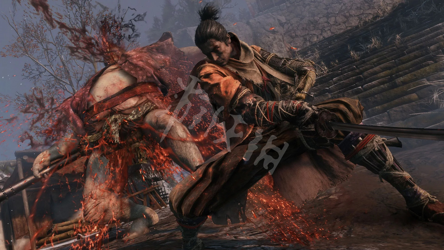 《隻狼暗影雙死》蜈蚣在哪?蜈蚣位置一覽 《隻狼暗影雙死》蜈蚣在哪?蜈蚣位置一覽