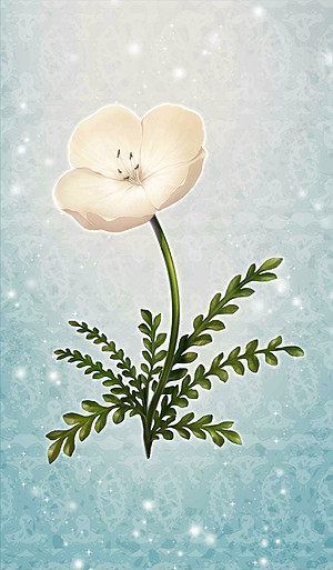 FGO恩奇都怎麽樣 恩奇都立繪技能屬性寶具測評 FGO恩奇都怎麽樣 恩奇都立繪技能屬性寶具測評