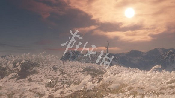 《隻狼：暗影雙死》圖文攻略：遊戲操作+全Boss打法+技能介紹+全劇情流程+全收集+武器介紹+遊戲介紹