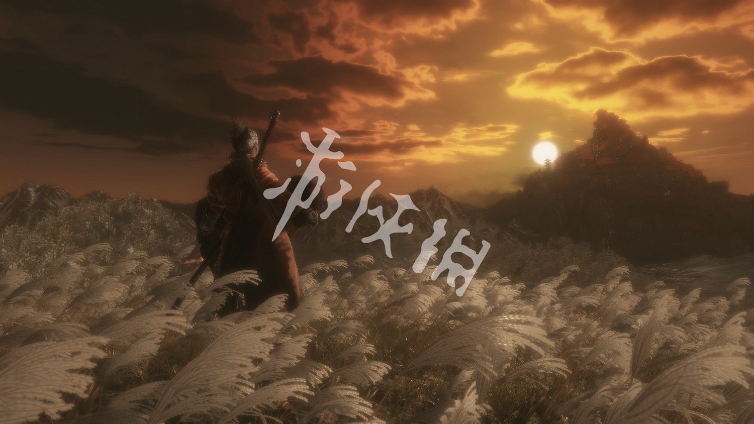 《隻狼暗影雙死》習得全部技能成就怎麽拿?習得全部技能成就解鎖技巧 《隻狼暗影雙死》習得全部技能成就怎麽拿?習得全部技能成就解鎖技巧