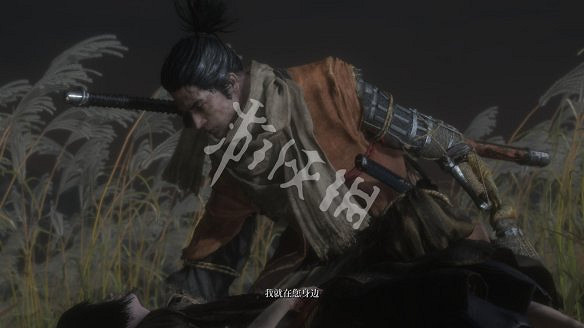 《隻狼:暗影雙死》圖文攻略:遊戲操作+全Boss打法+技能介紹+全劇情流程+全收集+武器介紹+遊戲介紹 《隻狼:暗影雙死》圖文攻略:遊戲操作+全Boss打法+技能介紹+全劇情流程+全收集+武器介紹+遊戲介紹