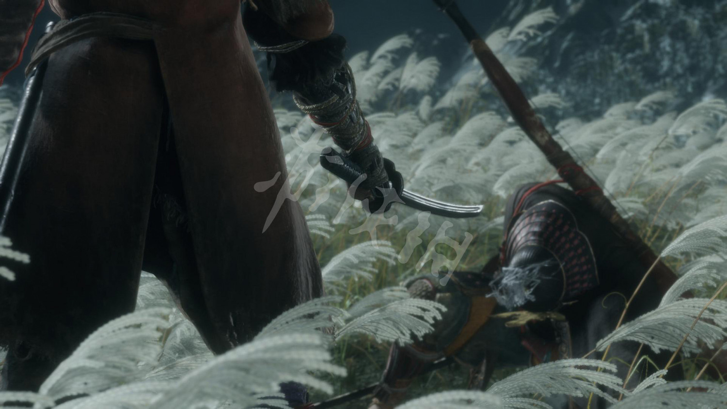 《隻狼:暗影雙死》圖文攻略:遊戲操作+全Boss打法+技能介紹+全劇情流程+全收集+武器介紹+遊戲介紹 《隻狼:暗影雙死》圖文攻略:遊戲操作+全Boss打法+技能介紹+全劇情流程+全收集+武器介紹+遊戲介紹