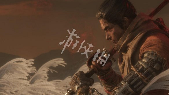 《隻狼：暗影雙死》圖文攻略：遊戲操作+全Boss打法+技能介紹+全劇情流程+全收集+武器介紹+遊戲介紹