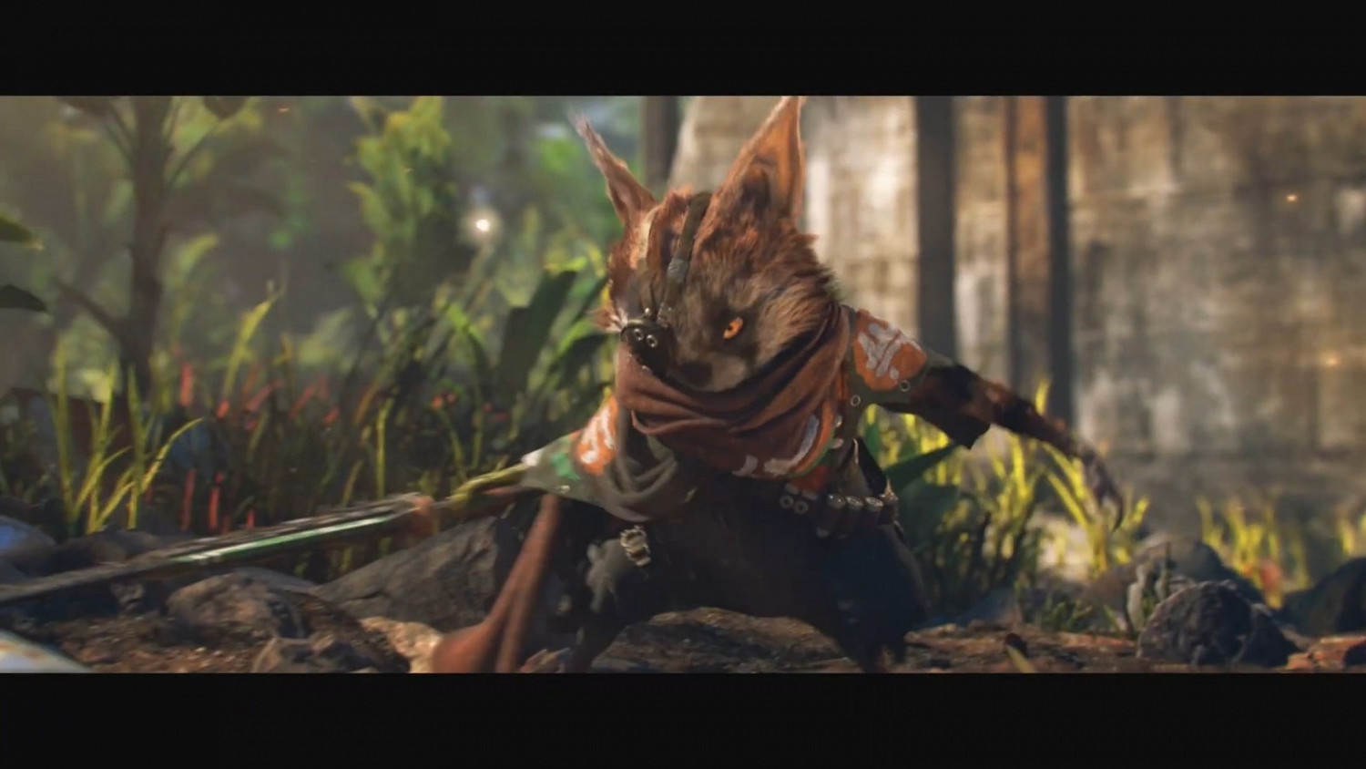 THQ十周年慶9月18日舉行 將公開六款新作