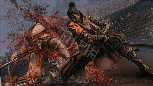 《隻狼暗影雙死》全收集攻略 忍具+葫蘆種子+佛珠收集一覽