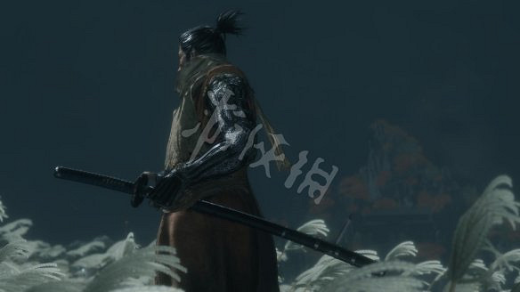 《隻狼:暗影雙死》圖文攻略:遊戲操作+全Boss打法+技能介紹+全劇情流程+全收集+武器介紹+遊戲介紹 《隻狼:暗影雙死》圖文攻略:遊戲操作+全Boss打法+技能介紹+全劇情流程+全收集+武器介紹+遊戲介紹