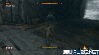 《隻狼暗影雙死》蜈蚣怎麽打?蜈蚣打法分享 《隻狼暗影雙死》蜈蚣怎麽打?蜈蚣打法分享