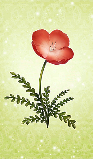 FGO恩奇都怎麽樣 恩奇都立繪技能屬性寶具測評 FGO恩奇都怎麽樣 恩奇都立繪技能屬性寶具測評