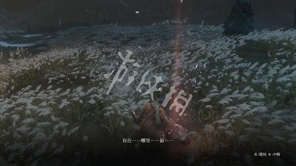 《隻狼:暗影雙死》圖文攻略:遊戲操作+全Boss打法+技能介紹+全劇情流程+全收集+武器介紹+遊戲介紹 《隻狼:暗影雙死》圖文攻略:遊戲操作+全Boss打法+技能介紹+全劇情流程+全收集+武器介紹+遊戲介紹