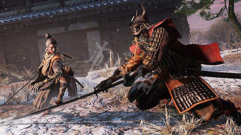 《隻狼暗影雙死》全收集攻略 忍具+葫蘆種子+佛珠收集一覽