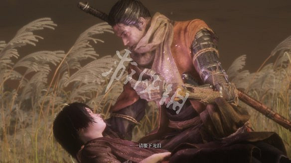 《隻狼:暗影雙死》圖文攻略:遊戲操作+全Boss打法+技能介紹+全劇情流程+全收集+武器介紹+遊戲介紹 《隻狼:暗影雙死》圖文攻略:遊戲操作+全Boss打法+技能介紹+全劇情流程+全收集+武器介紹+遊戲介紹