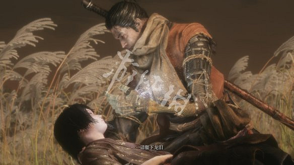 《隻狼:暗影雙死》圖文攻略:遊戲操作+全Boss打法+技能介紹+全劇情流程+全收集+武器介紹+遊戲介紹 《隻狼:暗影雙死》圖文攻略:遊戲操作+全Boss打法+技能介紹+全劇情流程+全收集+武器介紹+遊戲介紹