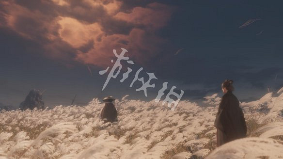 《隻狼：暗影雙死》圖文攻略：遊戲操作+全Boss打法+技能介紹+全劇情流程+全收集+武器介紹+遊戲介紹