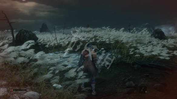 《隻狼:暗影雙死》圖文攻略:遊戲操作+全Boss打法+技能介紹+全劇情流程+全收集+武器介紹+遊戲介紹 《隻狼:暗影雙死》圖文攻略:遊戲操作+全Boss打法+技能介紹+全劇情流程+全收集+武器介紹+遊戲介紹