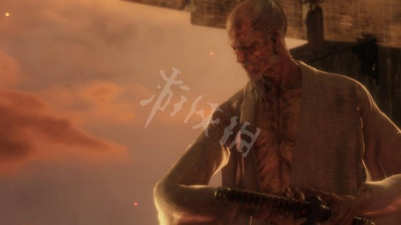 《隻狼:暗影雙死》圖文攻略:遊戲操作+全Boss打法+技能介紹+全劇情流程+全收集+武器介紹+遊戲介紹 《隻狼:暗影雙死》圖文攻略:遊戲操作+全Boss打法+技能介紹+全劇情流程+全收集+武器介紹+遊戲介紹