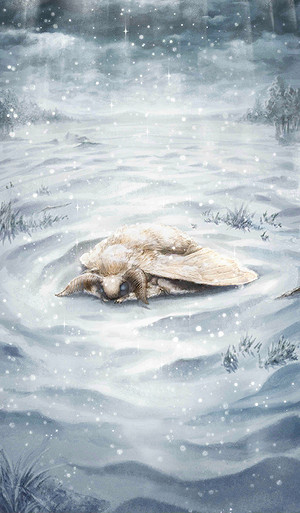 《FGO》奧伯龍羈絆禮裝是什麽 奧伯龍羈絆禮裝悼念公主的帕凡舞曲 《FGO》奧伯龍羈絆禮裝是什麽 奧伯龍羈絆禮裝悼念公主的帕凡舞曲