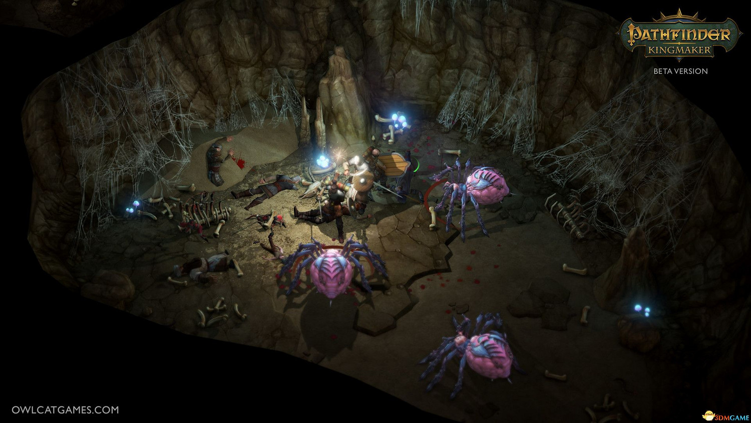 RPG新作《尋路者傳奇：擁立國王》帝王版官方中文免安裝版