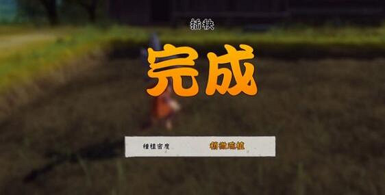 《天穗之咲稻姬》怎麽插秧？水稻插秧操作方法