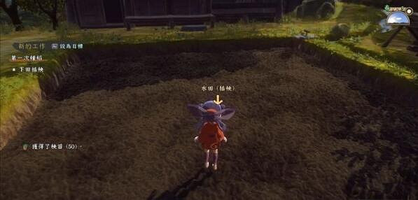 《天穗之咲稻姬》怎麽插秧？水稻插秧操作方法