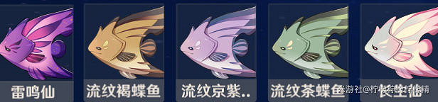 《原神》各種魚餌對應的魚一覽
