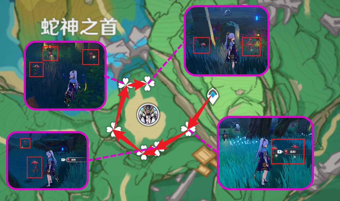 《原神》九條裟羅突破材料收集指南 《原神》九條裟羅突破材料收集指南