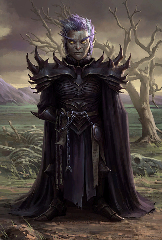 《尋路者傳奇：正義之怒》隊友設定人設彙總 全隊友屬性人設介紹