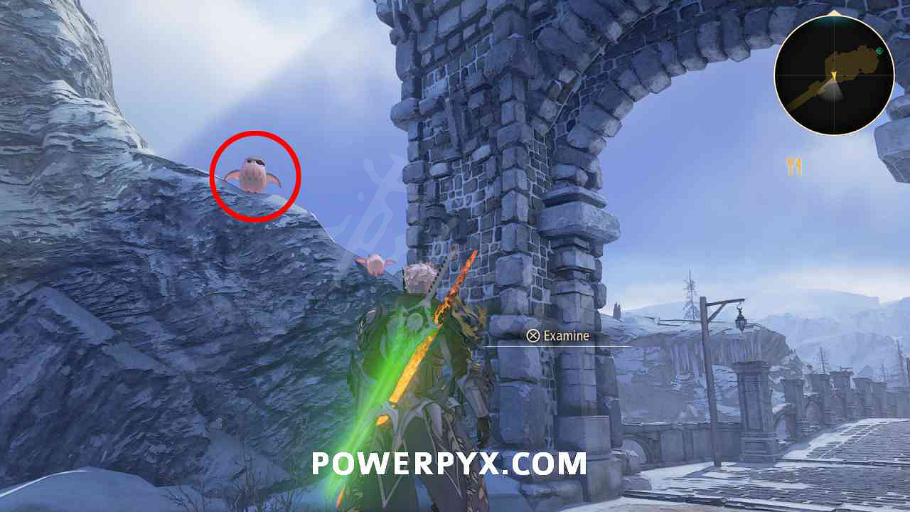 《破曉傳奇》貓頭鷹位置彙總 貓頭鷹在哪？