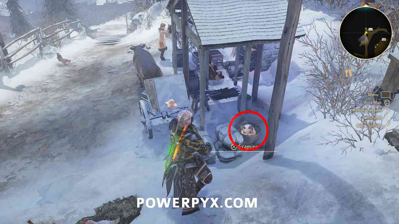 《破曉傳奇》貓頭鷹位置彙總 貓頭鷹在哪？