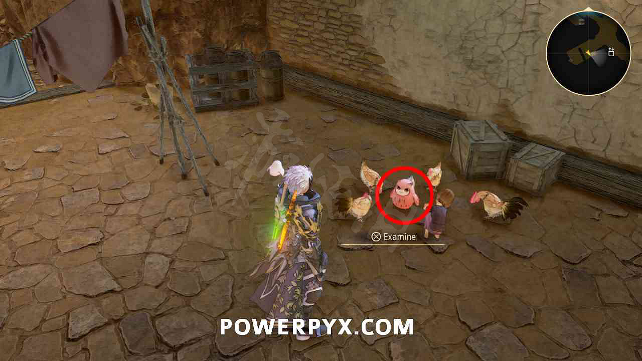 《破曉傳奇》貓頭鷹位置彙總 貓頭鷹在哪？