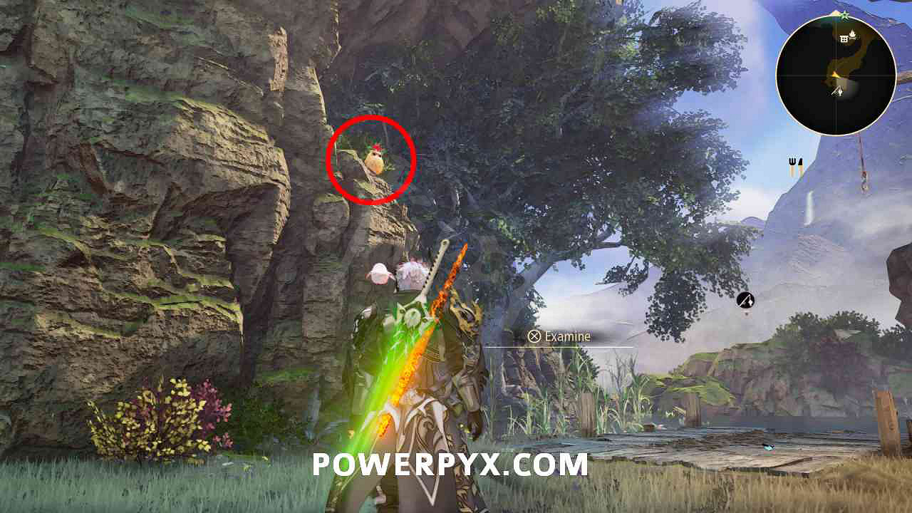 《破曉傳奇》貓頭鷹位置彙總 貓頭鷹在哪？