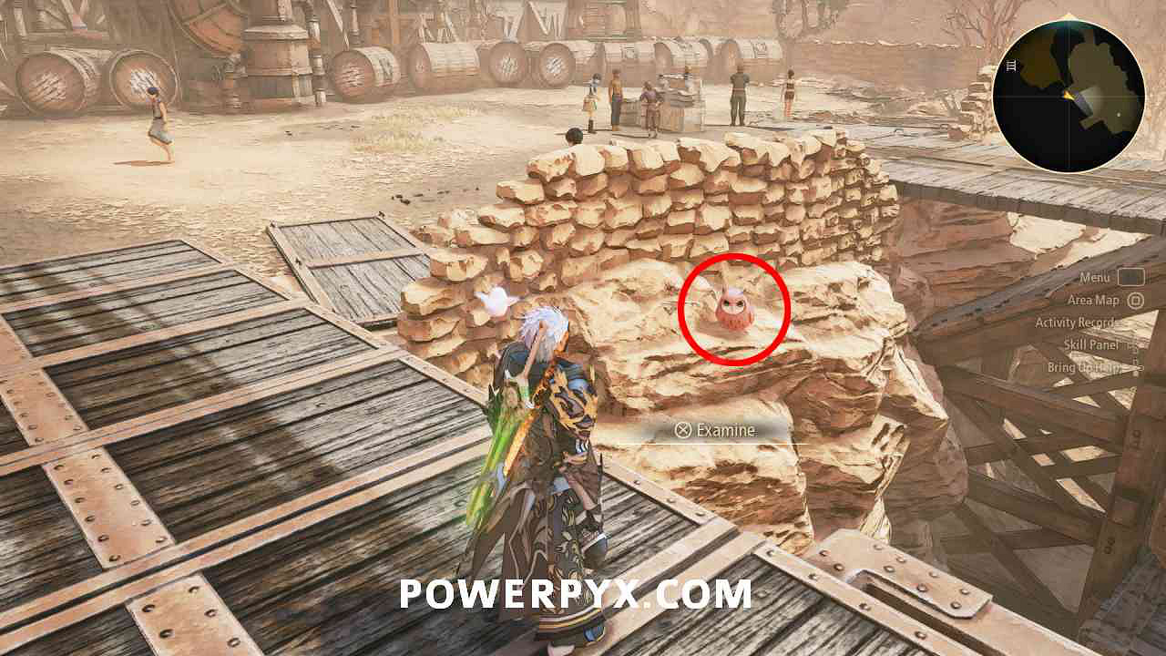 《破曉傳奇》貓頭鷹位置彙總 貓頭鷹在哪？