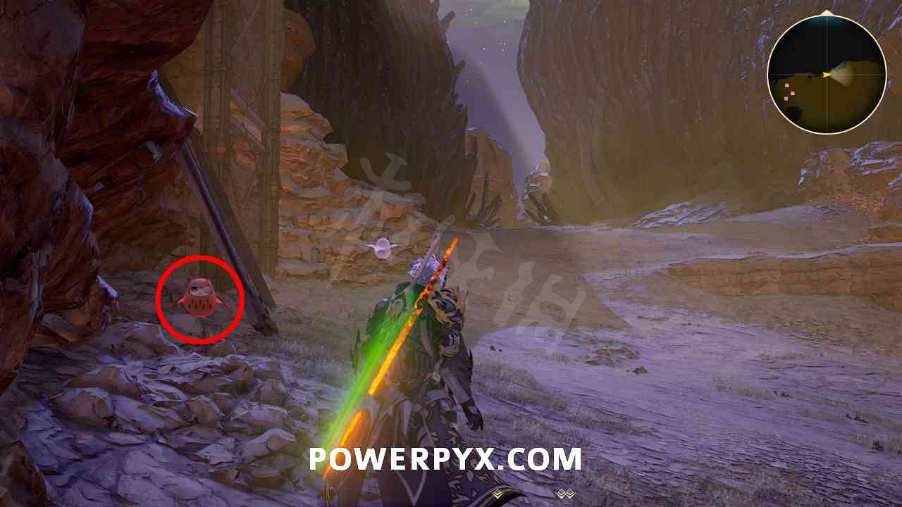 《破曉傳奇》貓頭鷹位置彙總 貓頭鷹在哪？