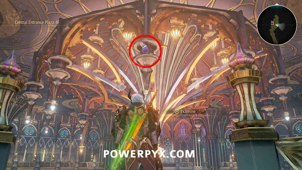 《破曉傳奇》貓頭鷹位置彙總 貓頭鷹在哪？