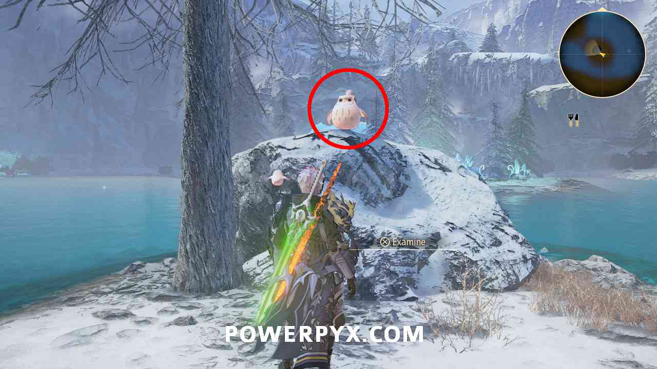 《破曉傳奇》貓頭鷹位置彙總 貓頭鷹在哪？