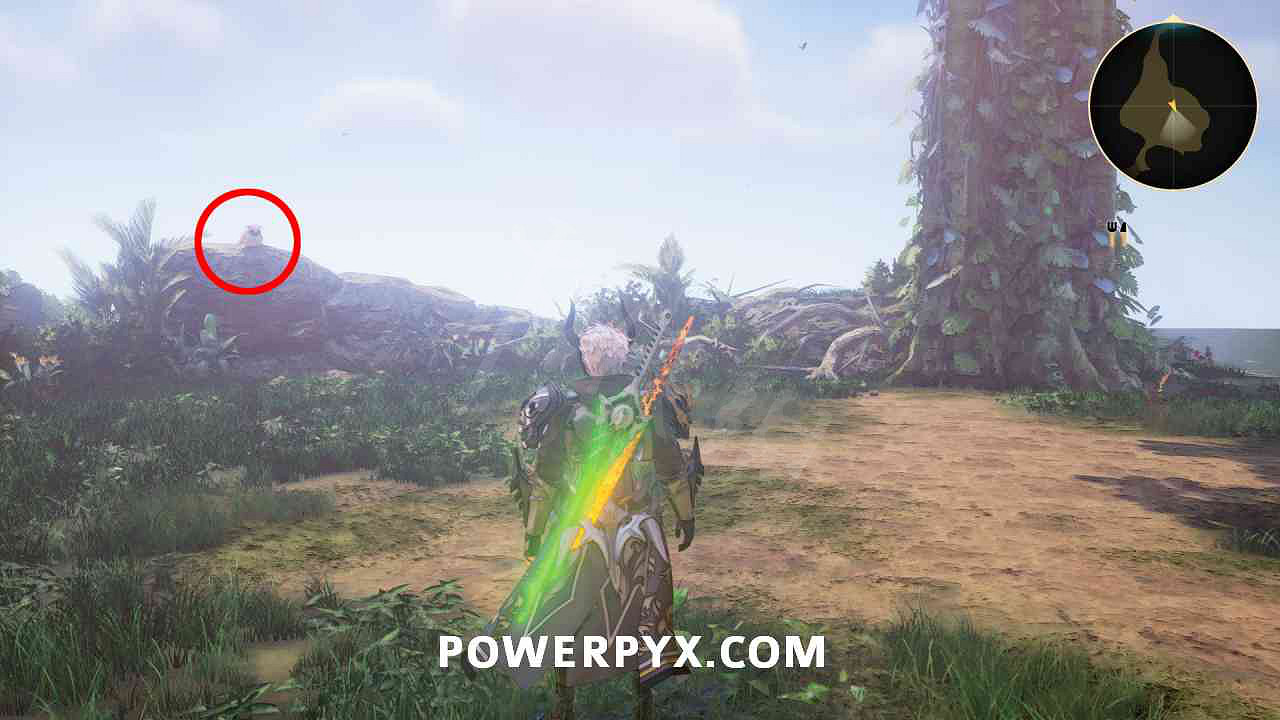 《破曉傳奇》貓頭鷹位置彙總 貓頭鷹在哪？