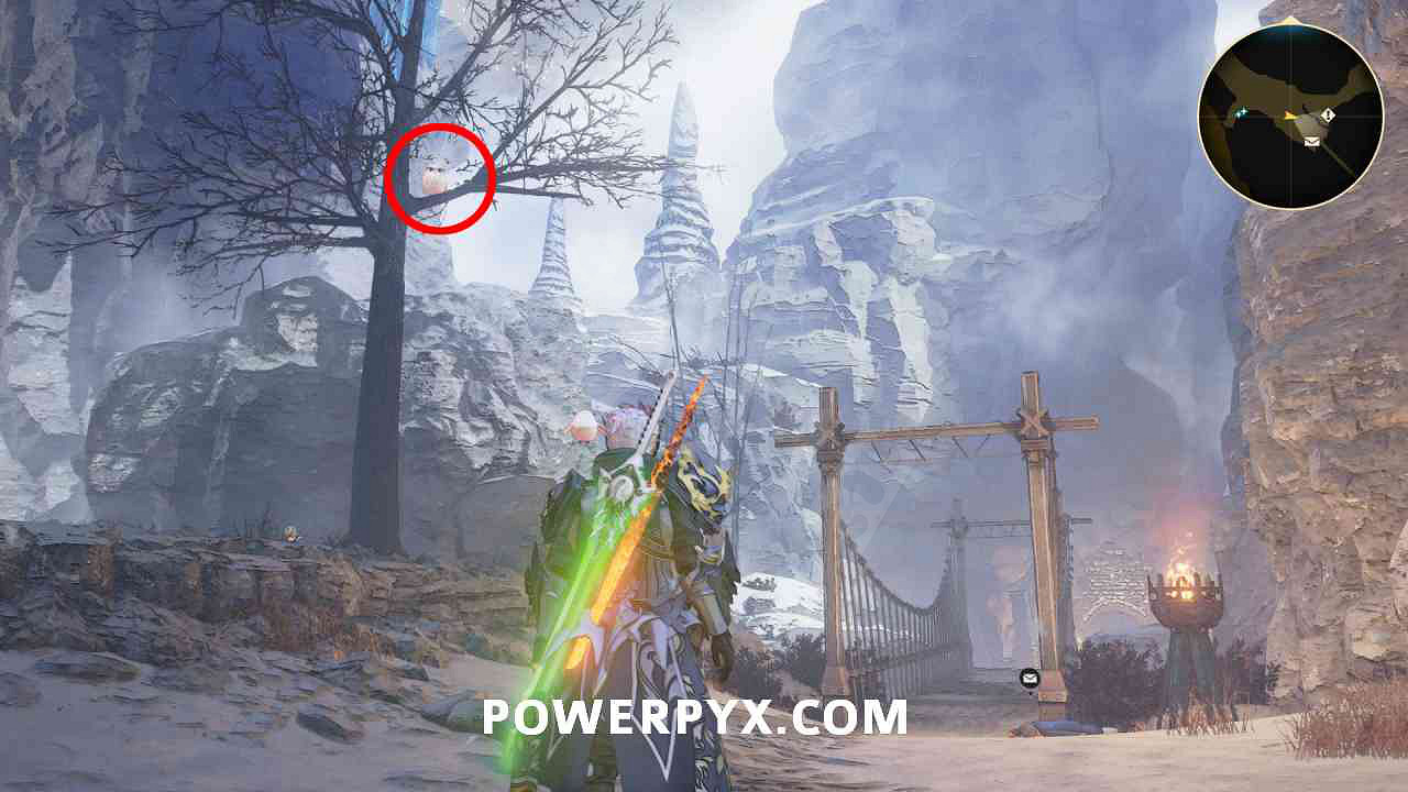 《破曉傳奇》貓頭鷹位置彙總 貓頭鷹在哪？