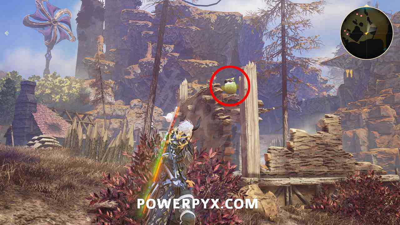 《破曉傳奇》貓頭鷹位置彙總 貓頭鷹在哪？