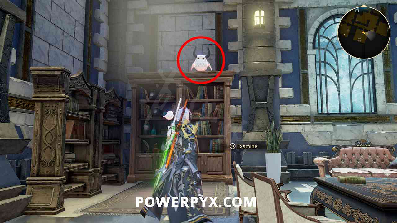 《破曉傳奇》貓頭鷹位置彙總 貓頭鷹在哪？