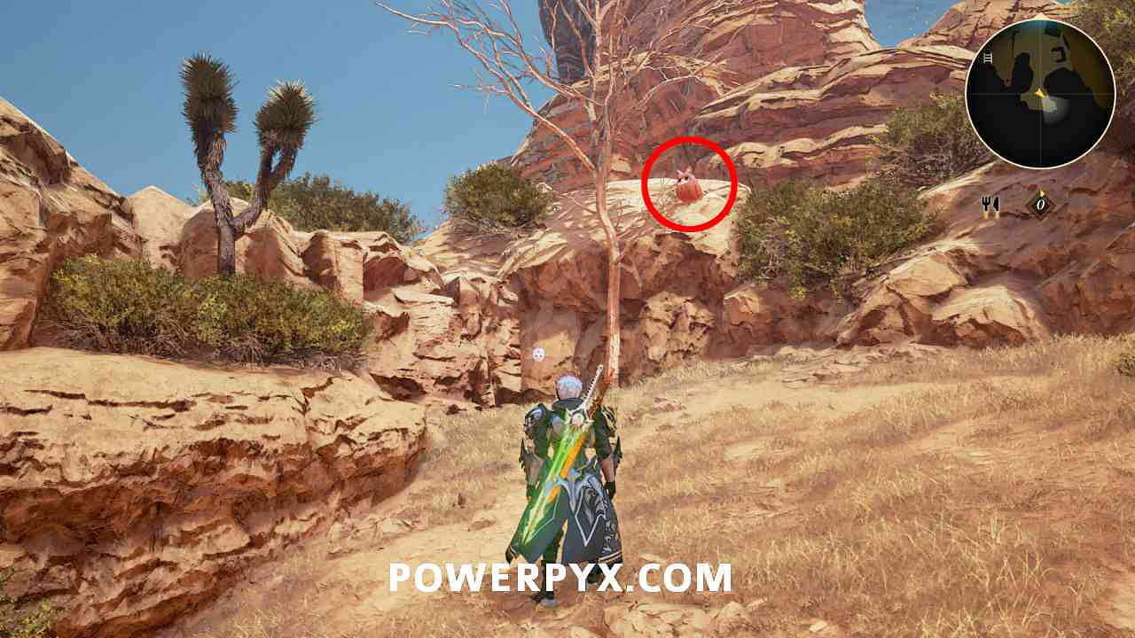 《破曉傳奇》貓頭鷹位置彙總 貓頭鷹在哪？