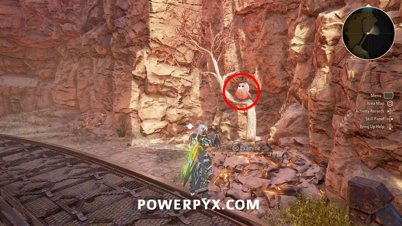 《破曉傳奇》貓頭鷹位置彙總 貓頭鷹在哪？