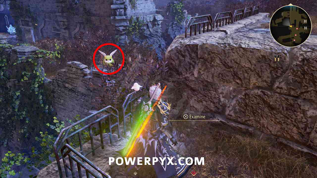 《破曉傳奇》貓頭鷹位置彙總 貓頭鷹在哪？