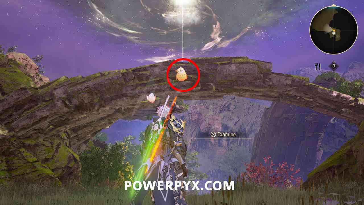 《破曉傳奇》貓頭鷹位置彙總 貓頭鷹在哪？