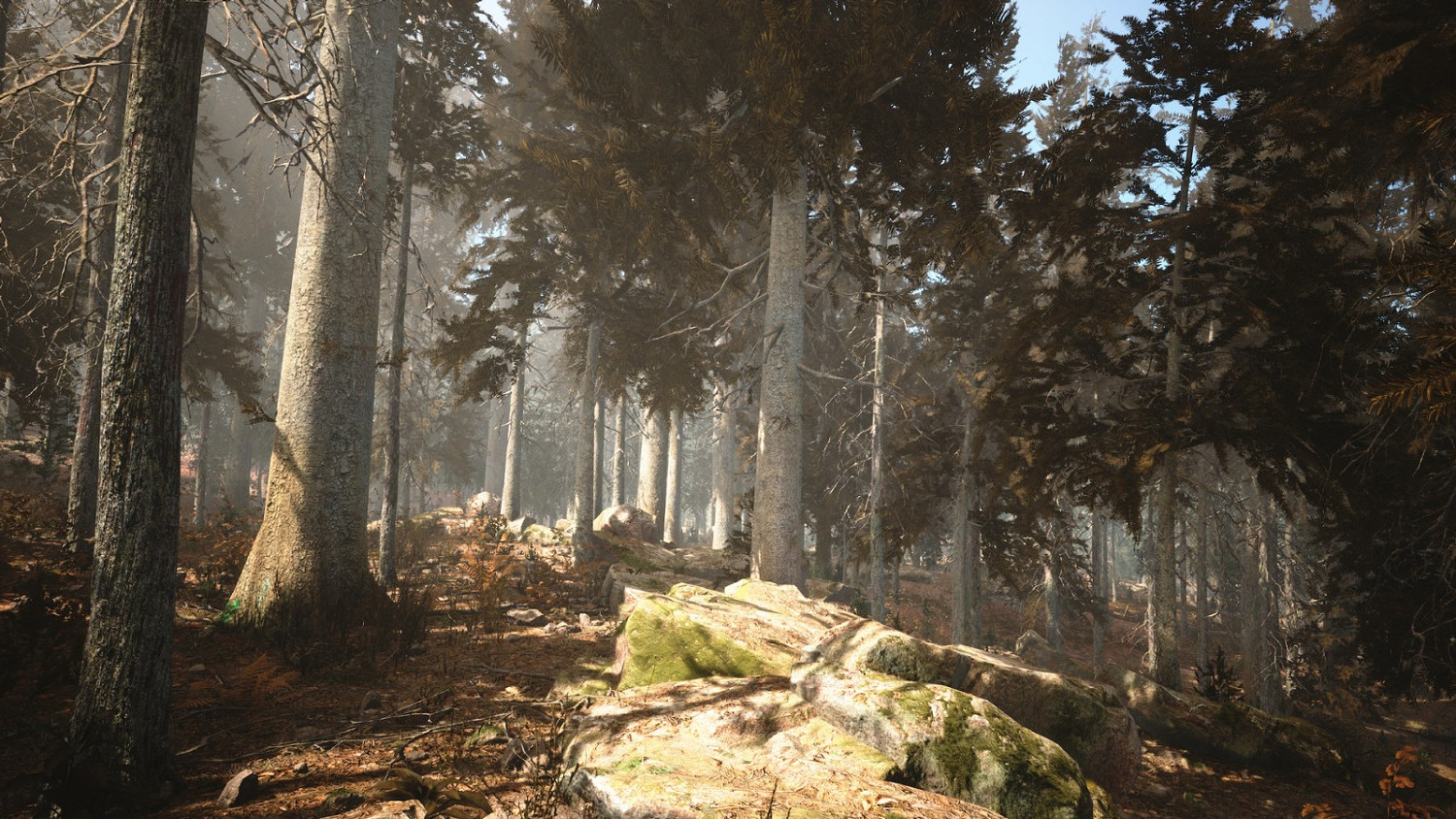 《攝影模擬器》現已上架Steam 實機宣傳片公開 《攝影模擬器》現已上架Steam 實機宣傳片公開