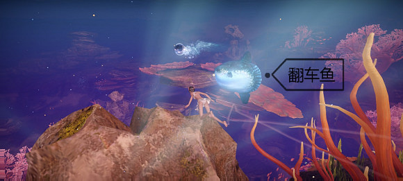 《天諭手遊》魚類圖鑒大全 珊瑚海魚類介紹 《天諭手遊》魚類圖鑒大全 珊瑚海魚類介紹